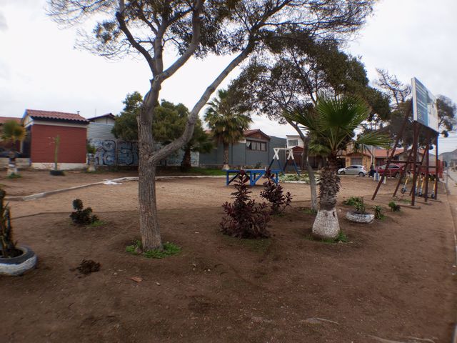 place photo 23