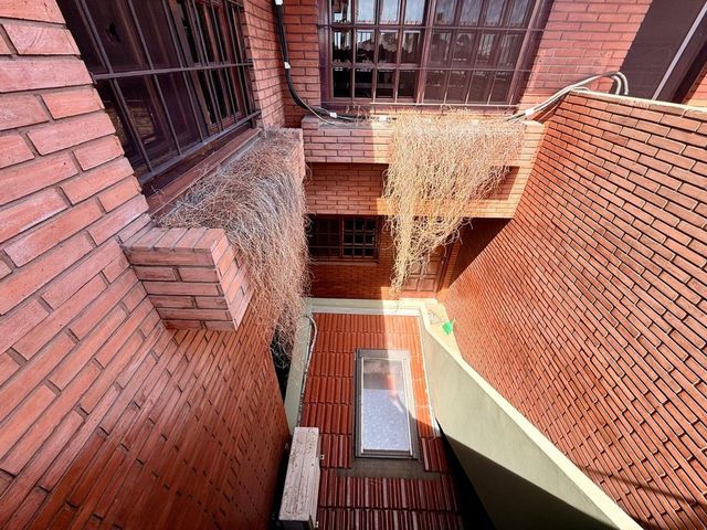 place photo 44