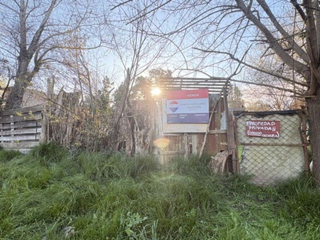 place photo 37