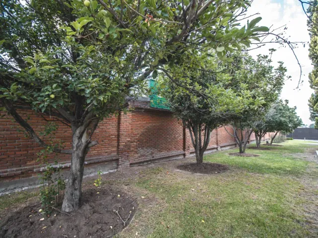 place photo 66