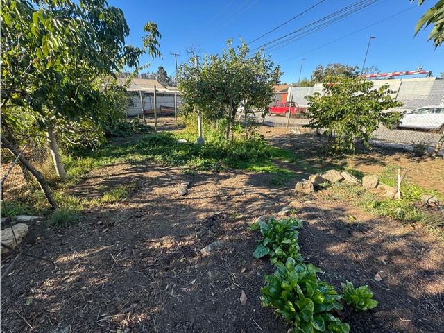 place photo 15