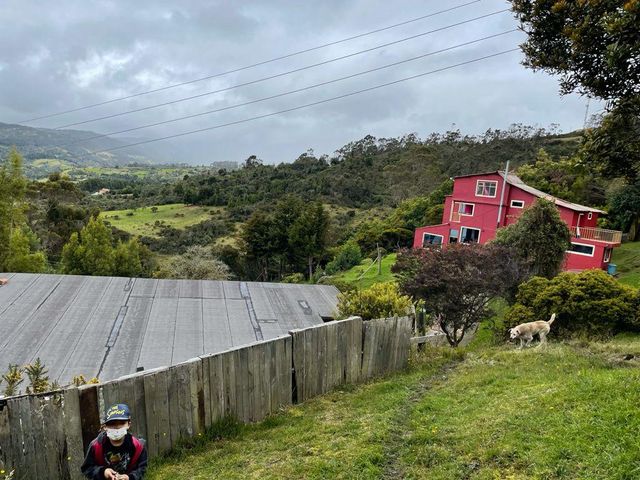 place photo 28