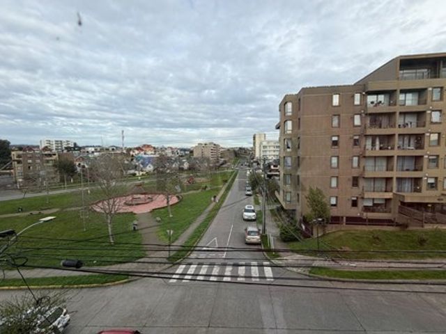 place photo 14