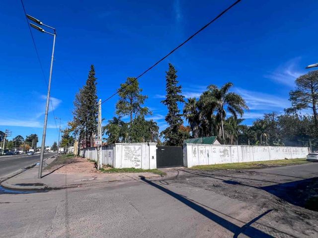place photo 42