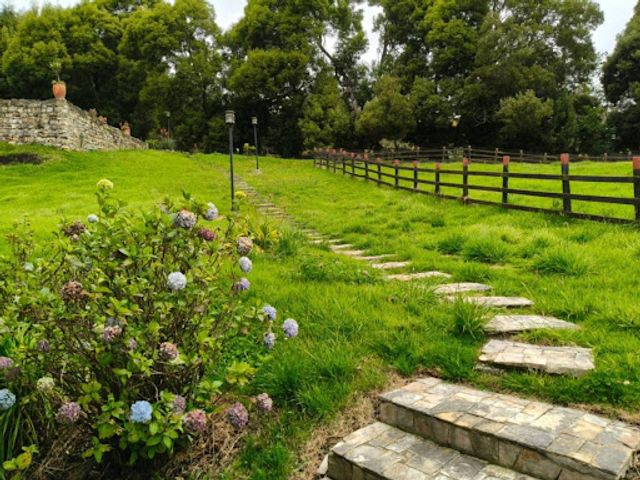 place photo 25