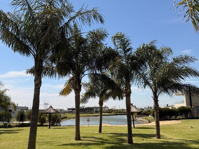 place photo 60