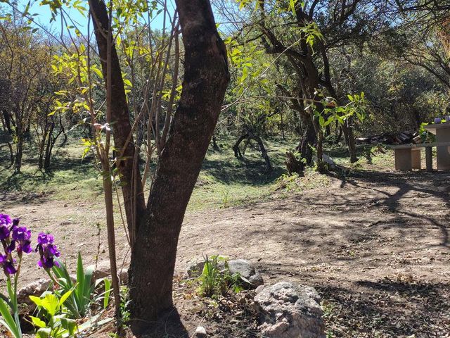 place photo 36