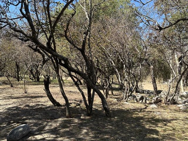 place photo 45