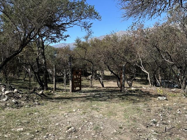 place photo 47