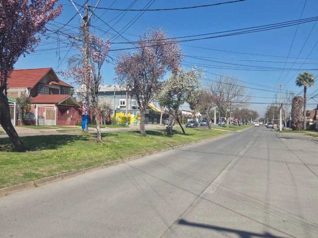 place photo 23