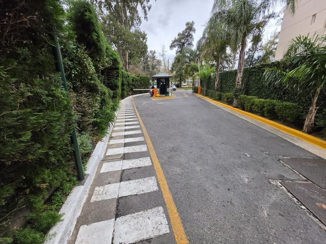 place photo 43