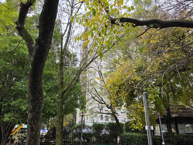place photo 24
