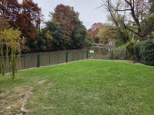 place photo 38