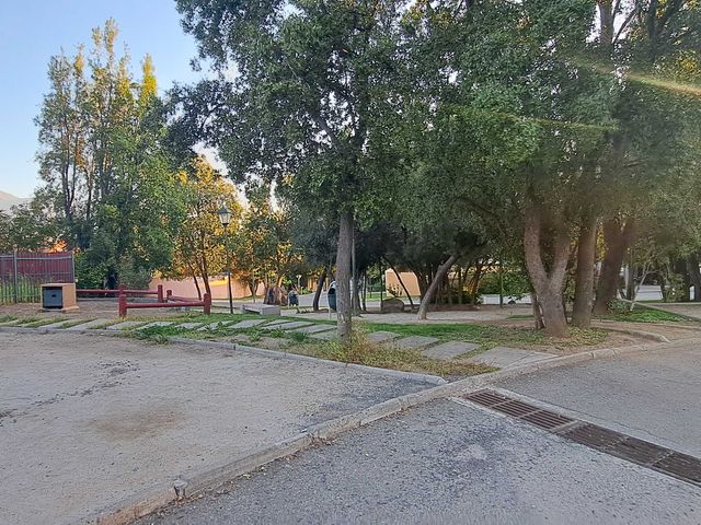 place photo 23