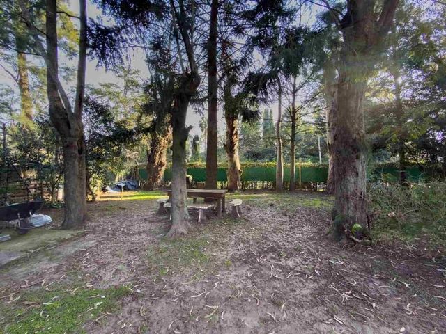 place photo 58