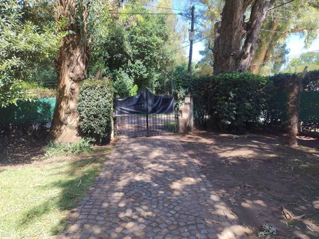 place photo 57
