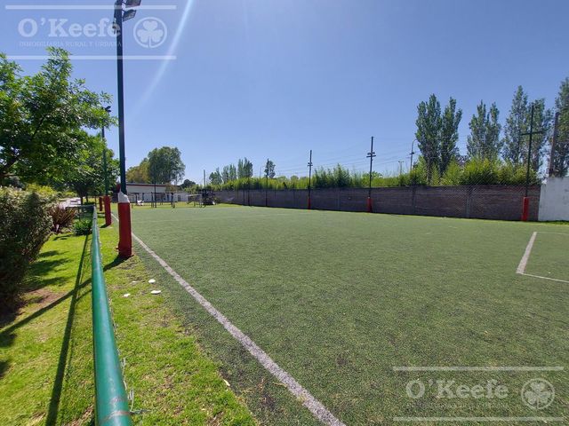 place photo 23