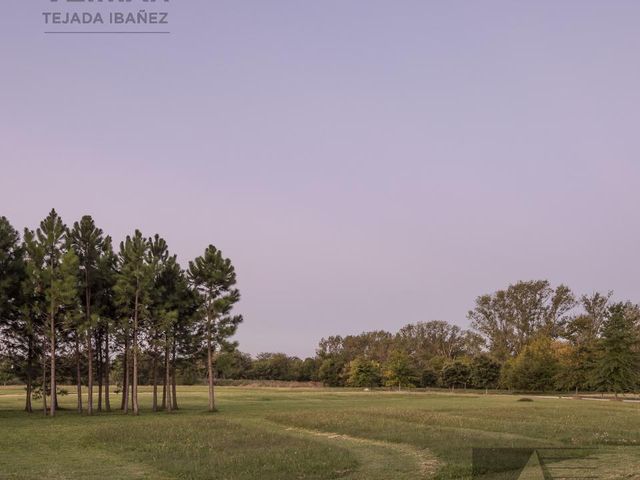 place photo 48