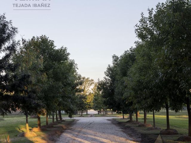 place photo 45