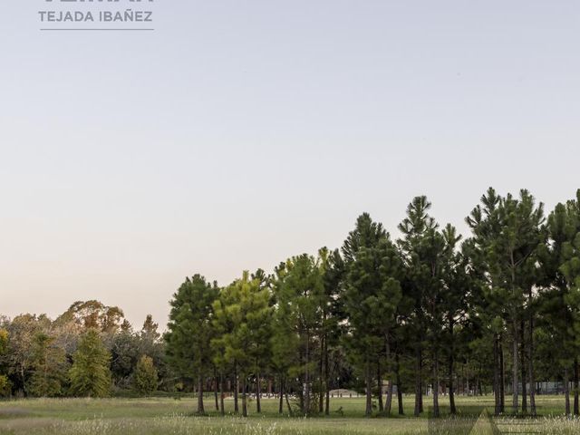 place photo 49