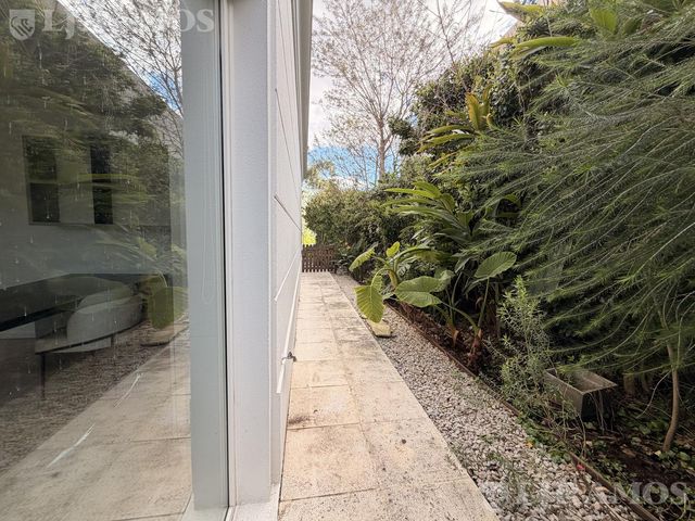 place photo 57