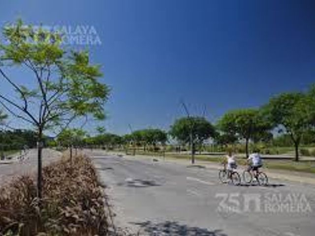 place photo 30