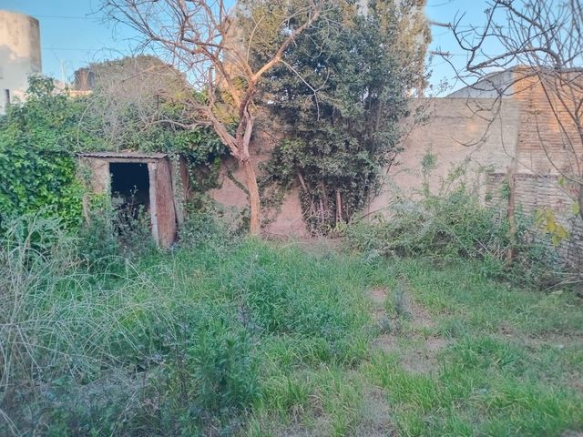 place photo 27