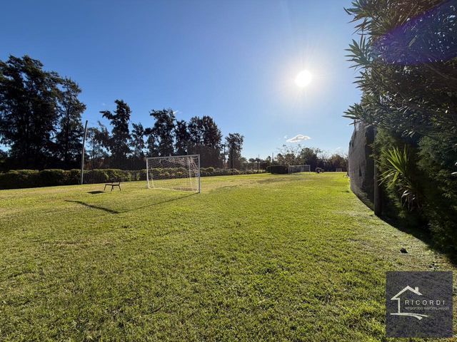 place photo 51