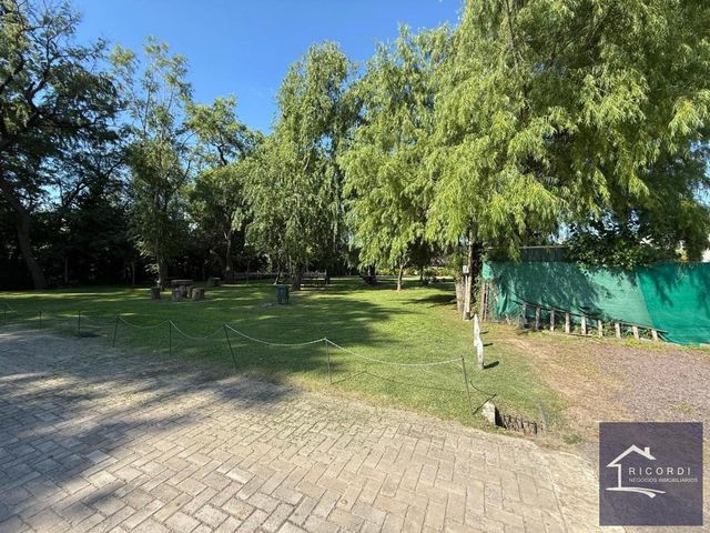 place photo 35