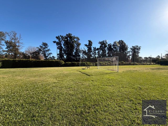 place photo 46