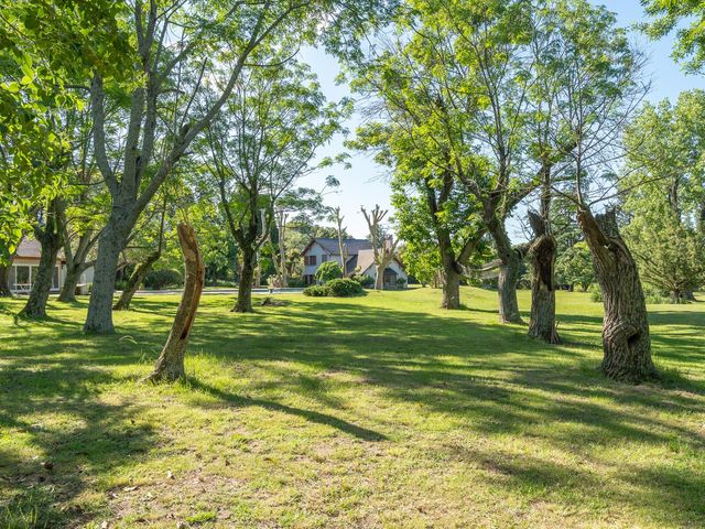 place photo 46