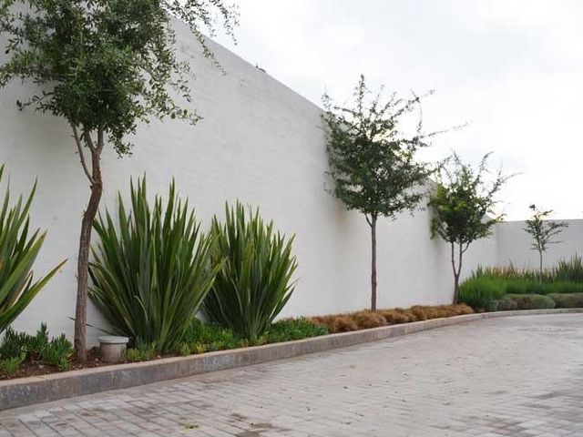 place photo 37