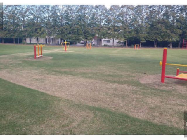 place photo 24