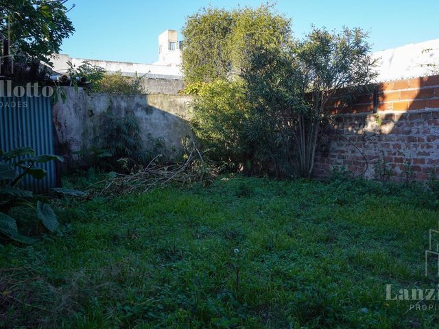 place photo 23