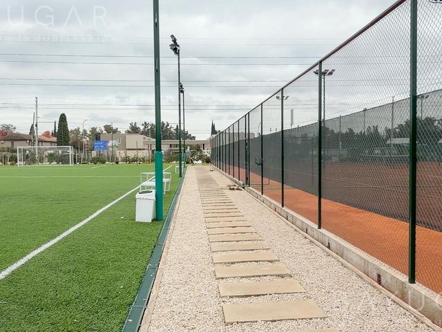place photo 23