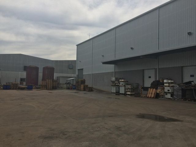 place photo 11