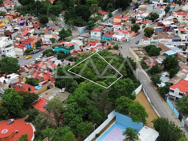 place photo 8