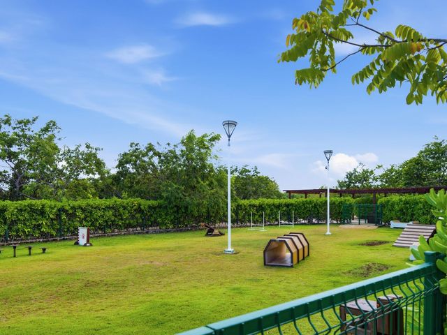 place photo 41