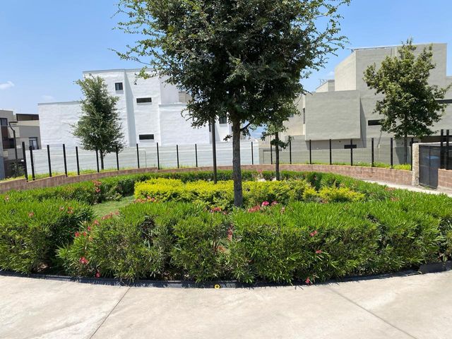 place photo 50