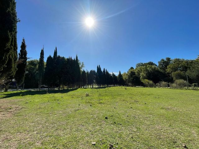 place photo 38