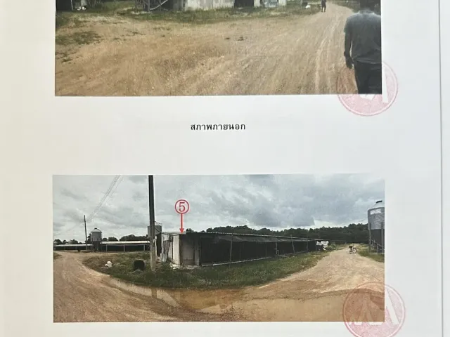 place photo 21