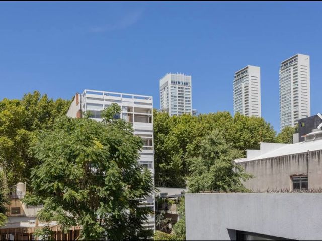 place photo 26
