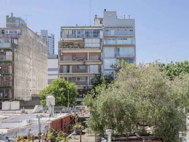 place photo 30