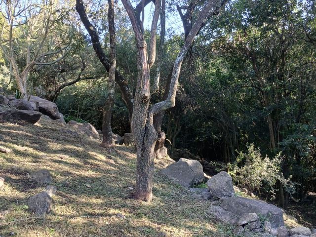 place photo 39