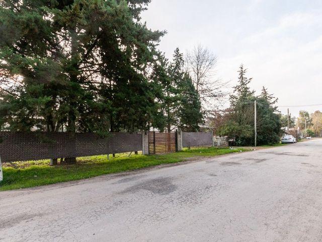 place photo 83