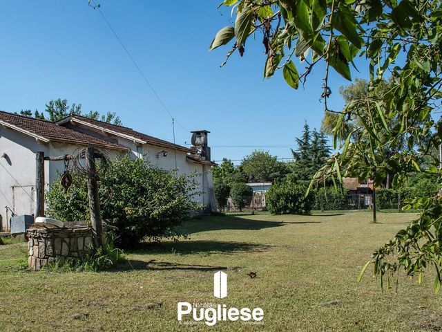 place photo 14