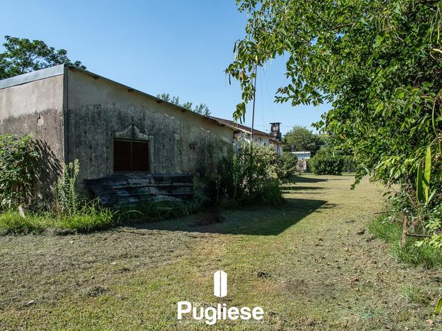 place photo 15