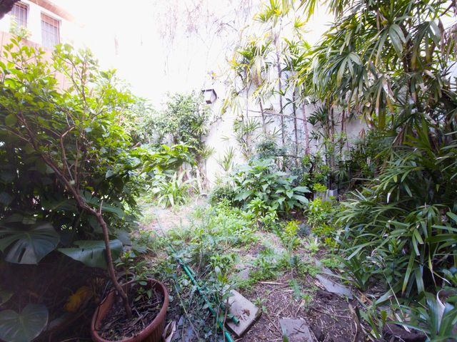 place photo 56