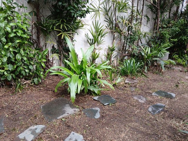 place photo 54