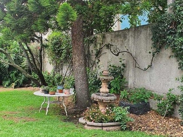 place photo 32